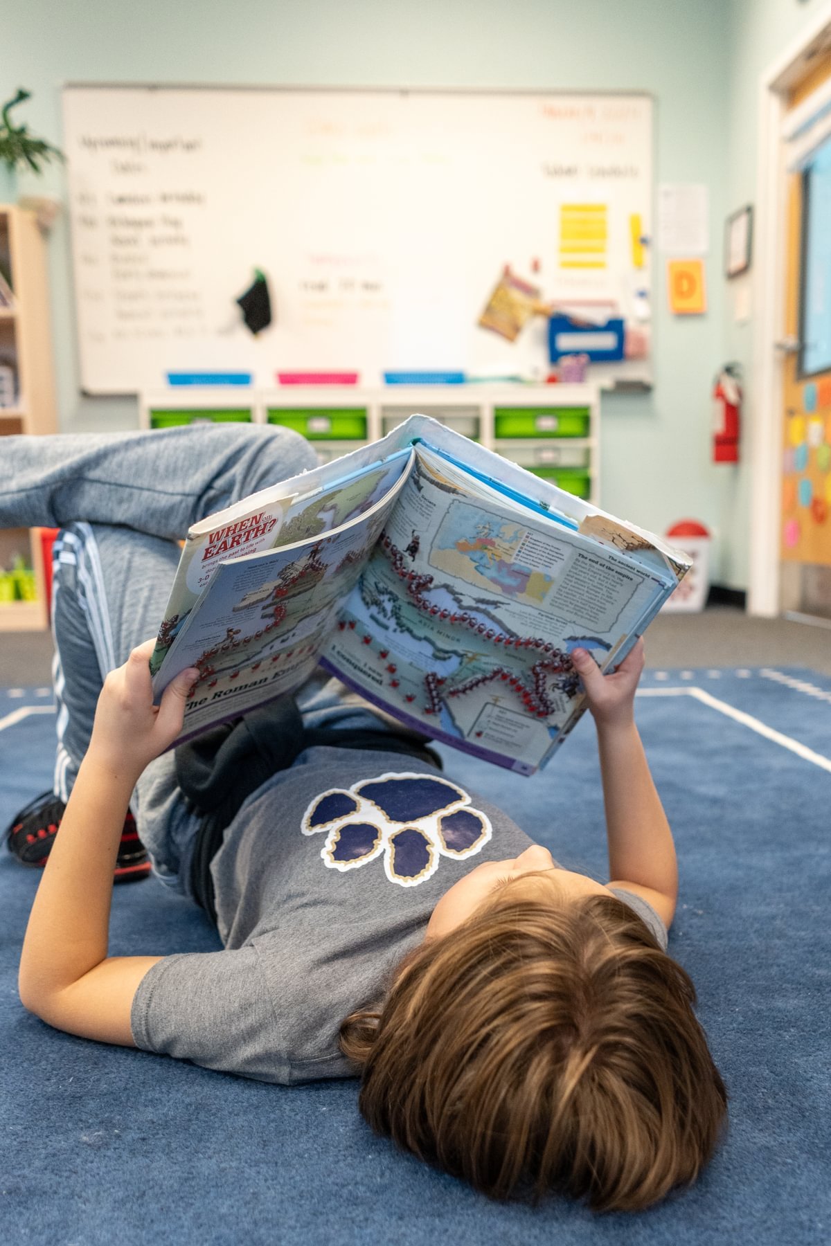A young boy reads a book.