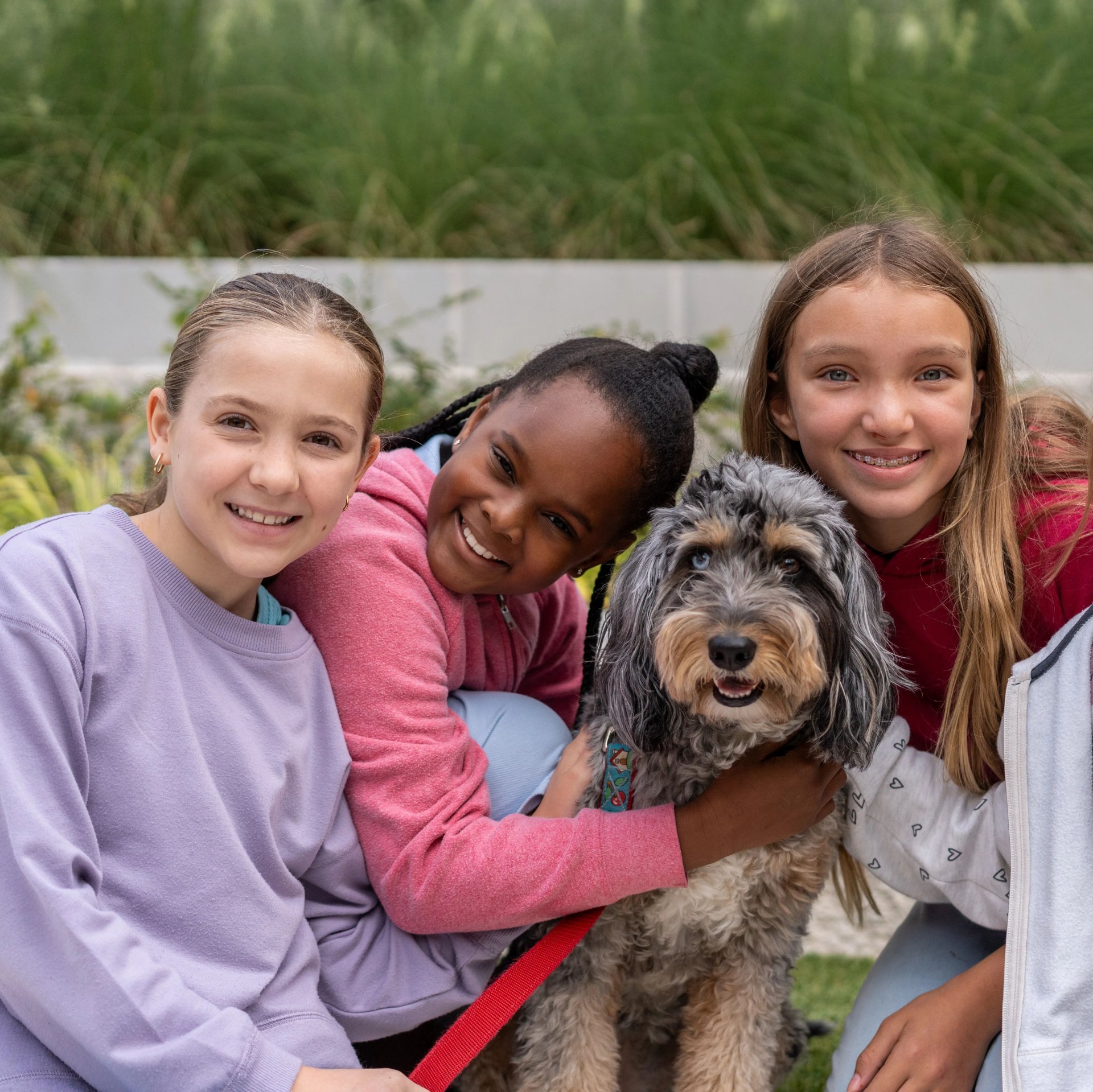 Three students smile and hug a dog.