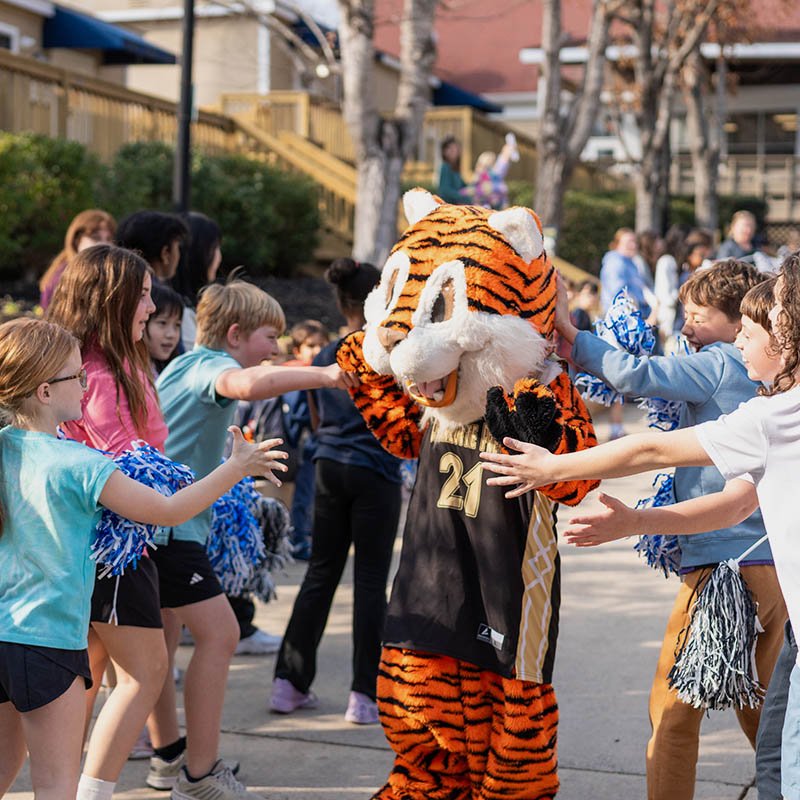 Students engaged in class outside