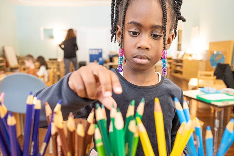 A young girl chooses a colored pencil