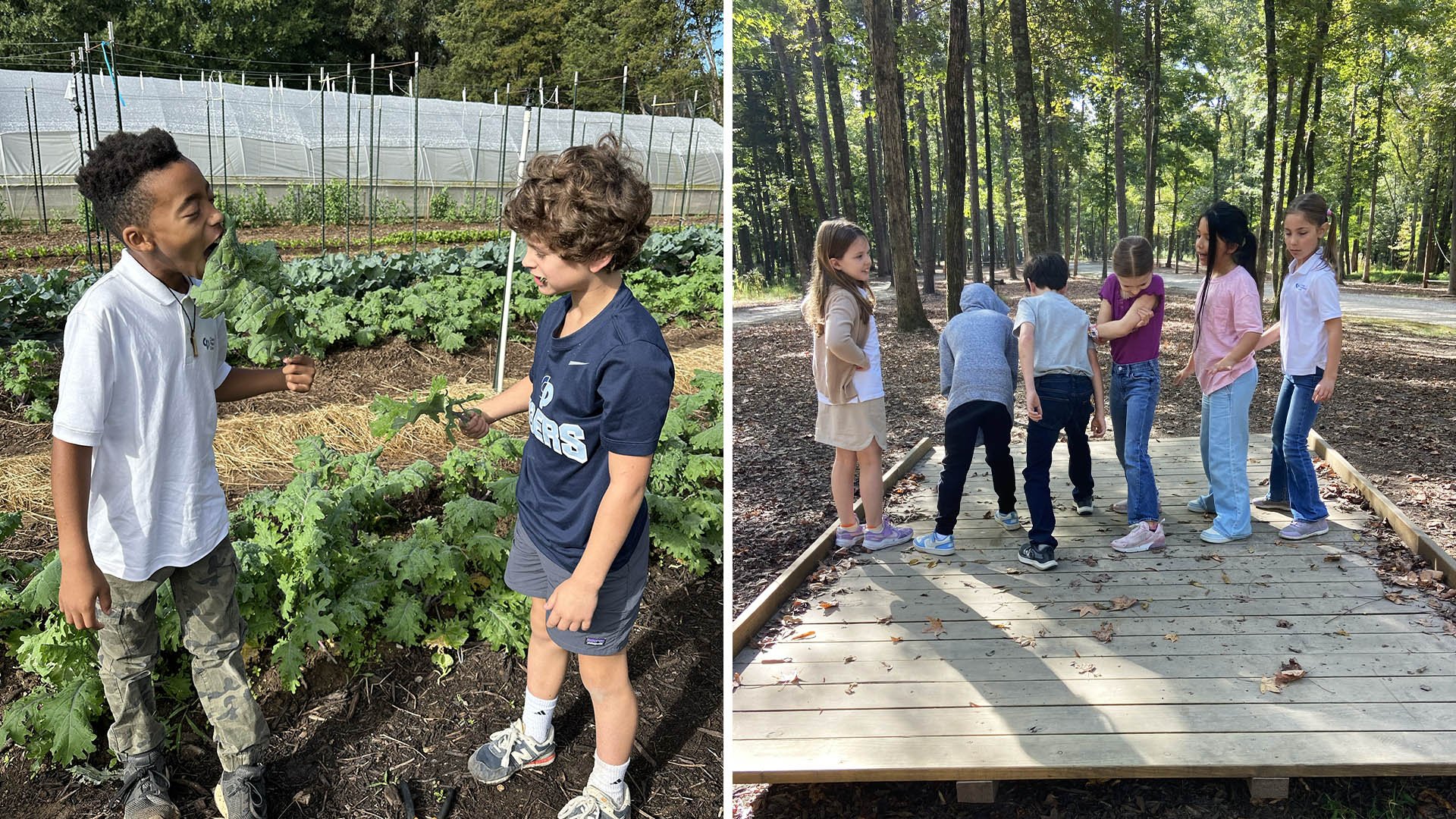 Students eat kale and balance on a platform