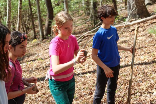 Students learning in a forest