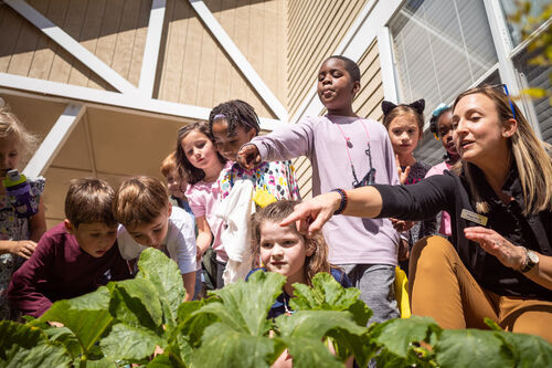 A group of students point at plants growing